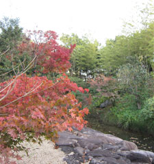 斎場庭園の紅葉